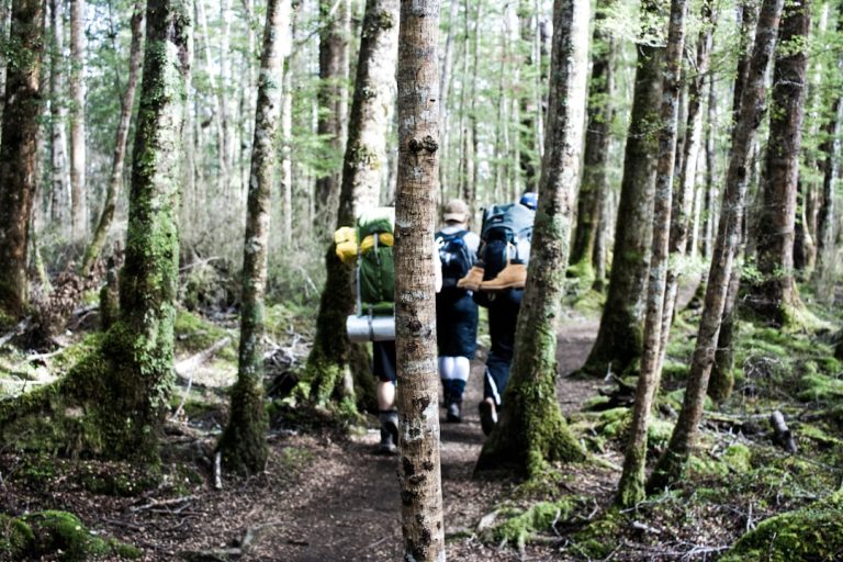 Embracing Nature: The Therapeutic Benefits of Outdoor Travel