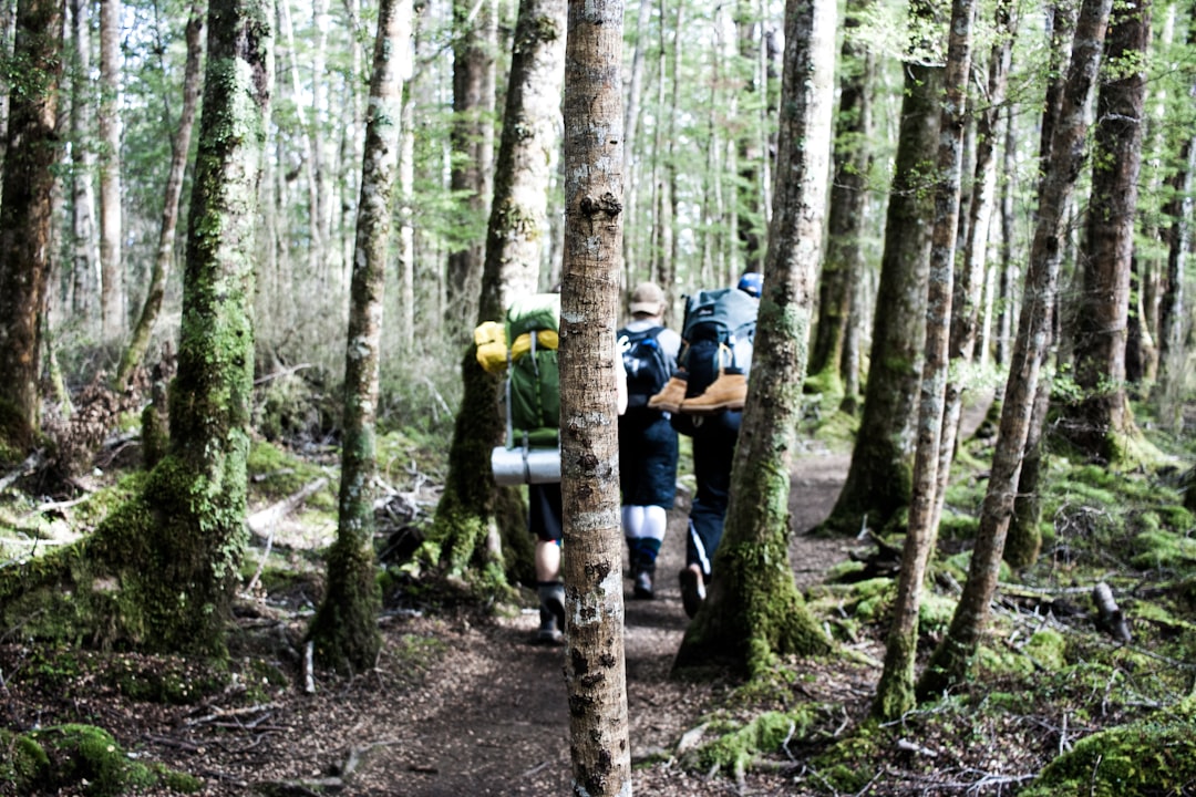 Embracing Nature: The Therapeutic Benefits of Outdoor Travel